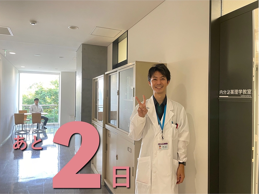 残り２日！頂いた全ての応援コメントが背中を押してくれます｜応援コメントご紹介③