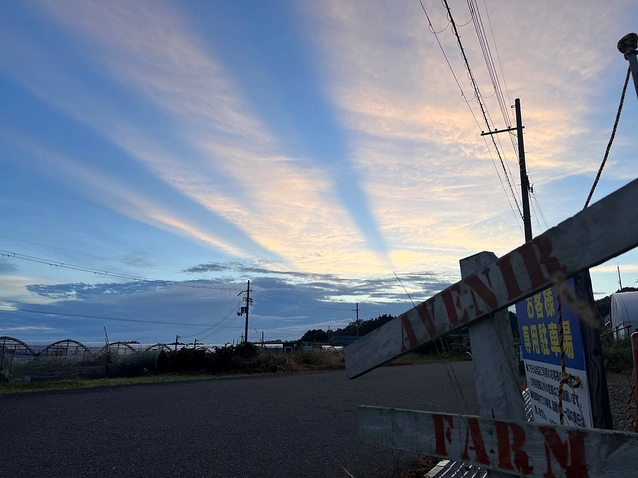 何故？継続寄付を始めるのか