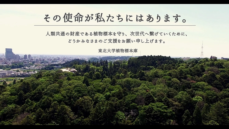 100年間受け継がれてきた植物標本を次世代へ｜東北大学植物標本庫 9枚目