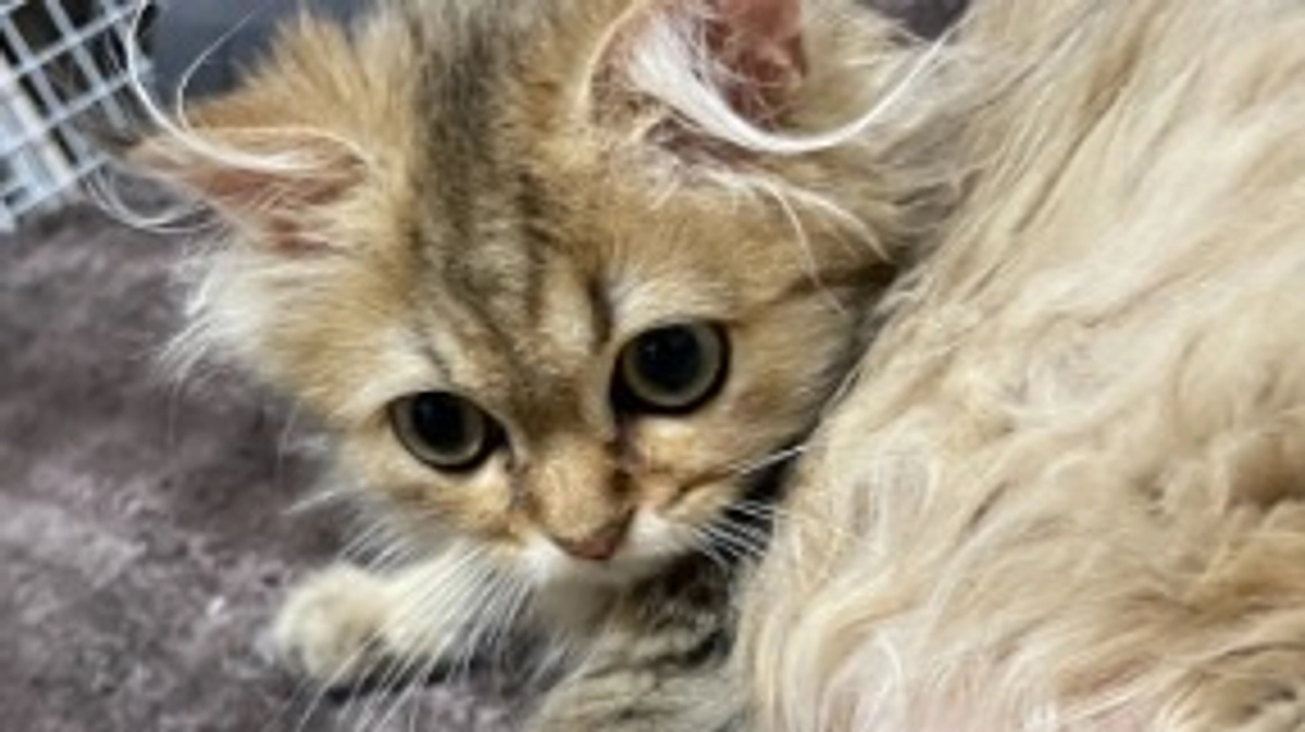 みんなで幸せにすごせるといいね