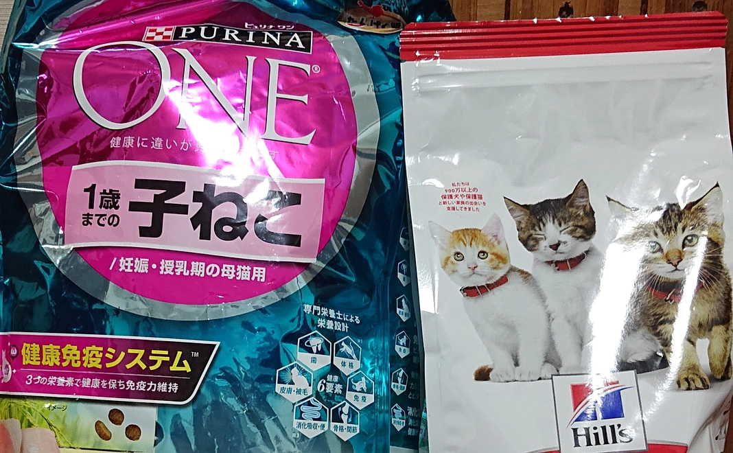 美味しいご飯が食べれます!!