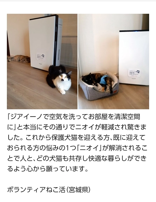 ジアイーノ保護犬猫応援プロジェクトに参加させていただいてます