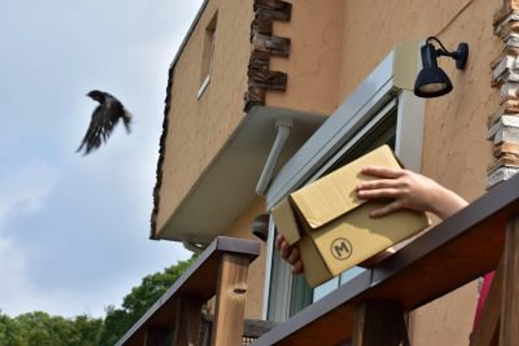 【リリース情報】2羽のツバメ！一緒に大空に！