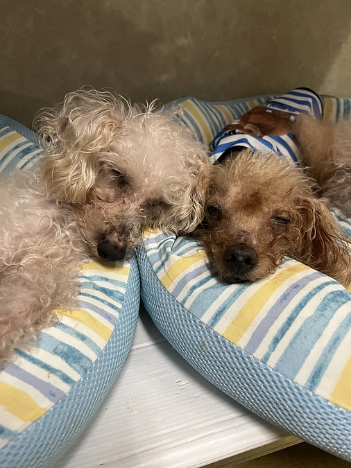 7月・8月の収支報告