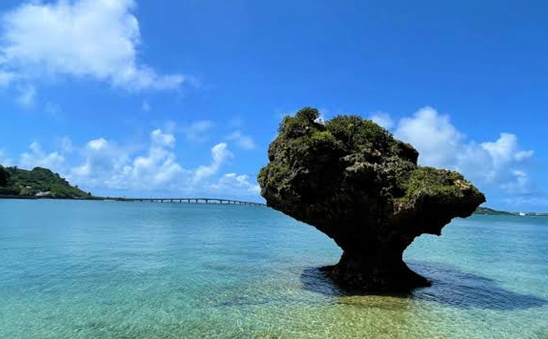 ◯感謝のお手紙