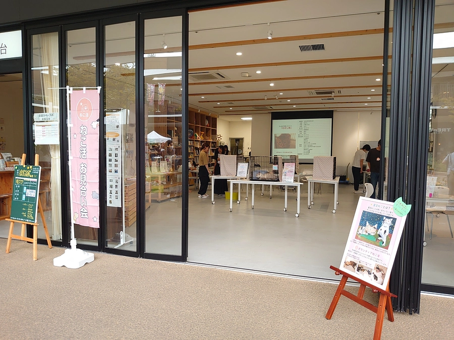 9月17日(日)星空ねこお見合い会盛況に終わりました