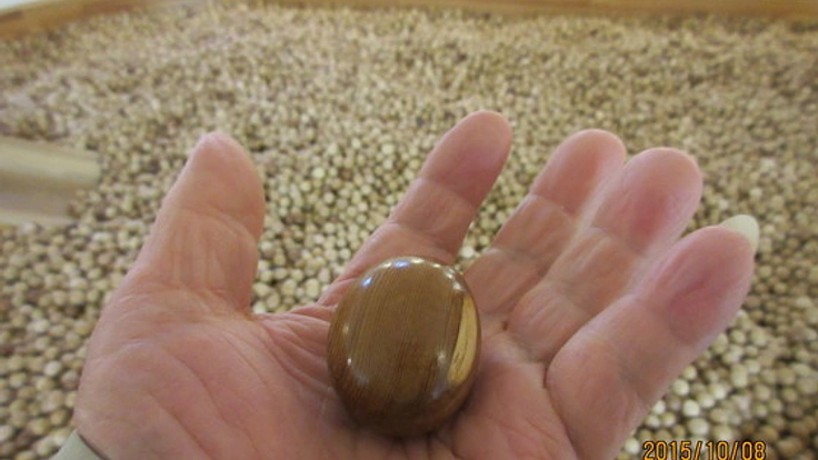 ヒノキから木製のボールプールをお子様のために製作します！