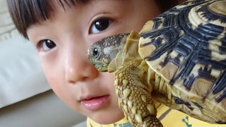 子どもを笑顔にする入場無料の「ふれあい水族館」を存続したい!