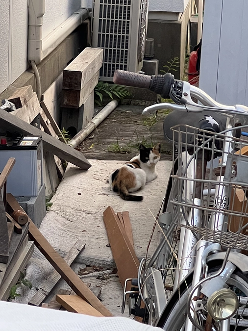 ご支援いただきました皆様へ