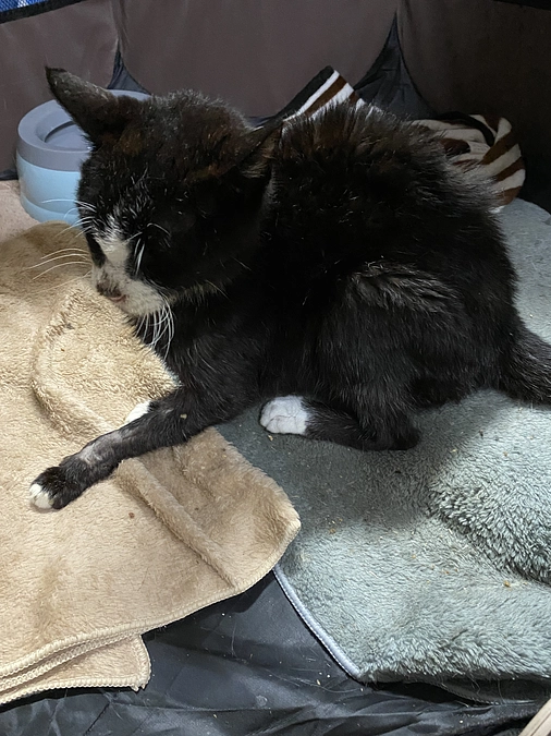 9/10 アビの現状報告