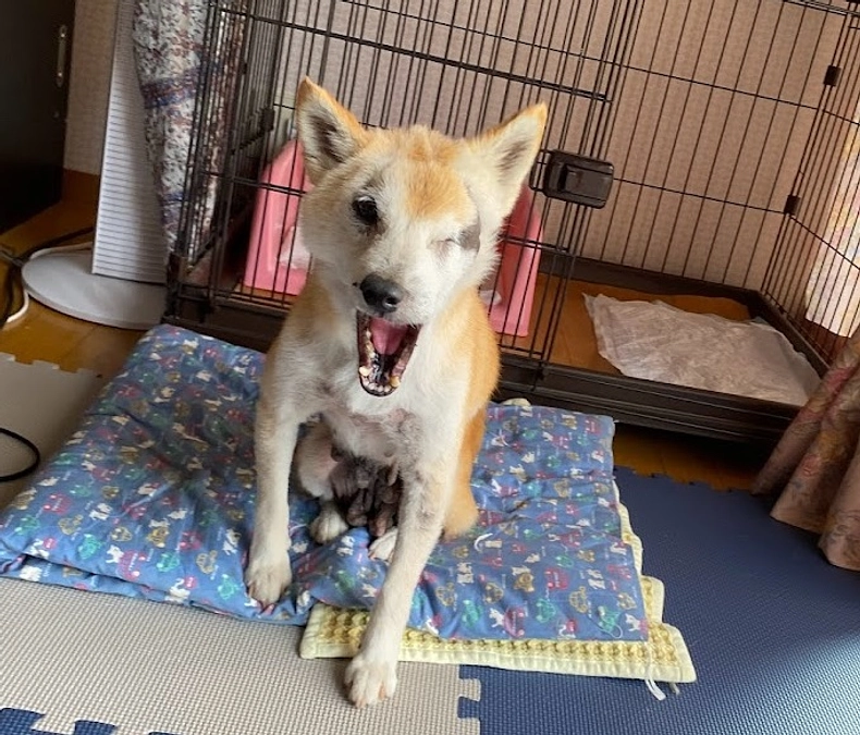 ☆家族ができました！