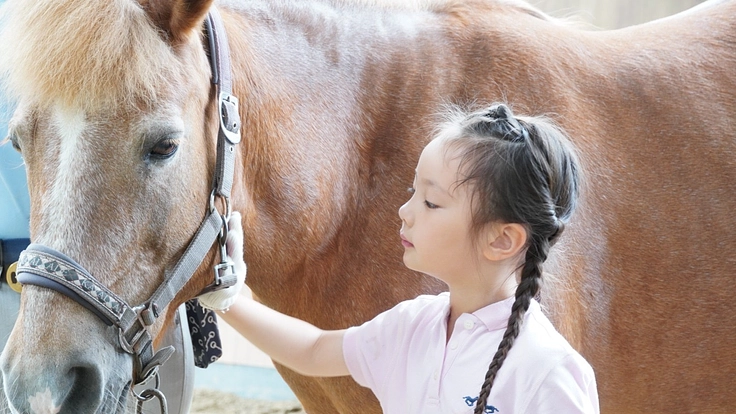ポニーや馬を身近な存在に！｜マンスリーサポーター募集！