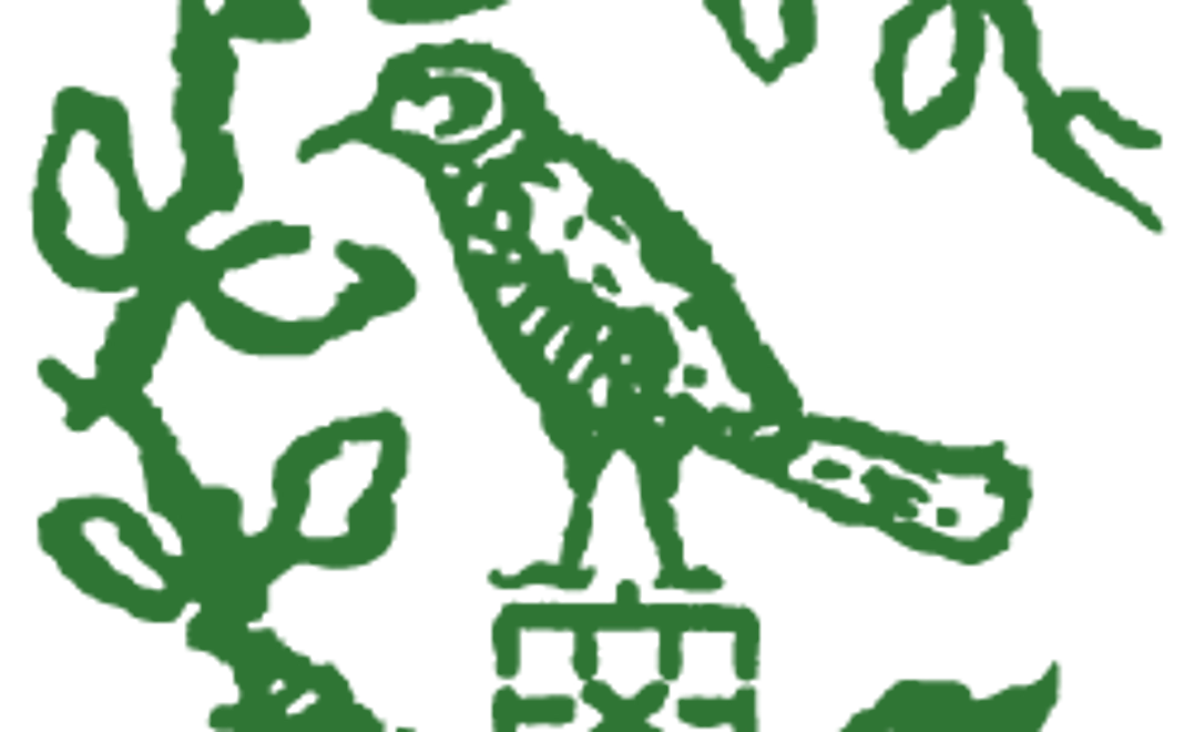 【福井県内外在住の方】全額応援!(5千円)