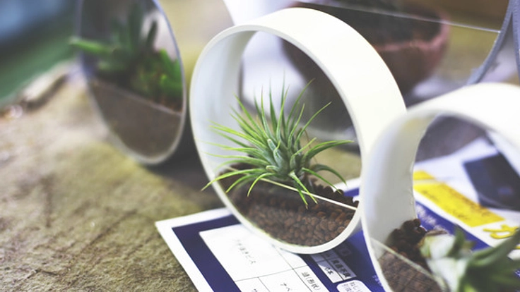 京都の小さな町工場の挑戦！建築資材でテラリウムを作りたい！