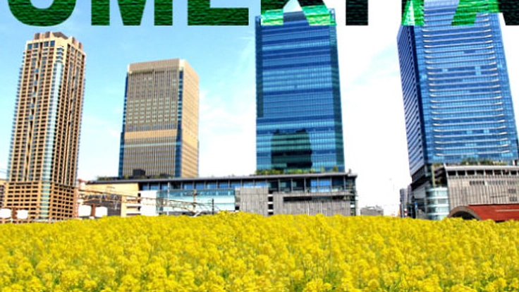 大阪うめきたに３万本の菜の花を！与謝蕪村が愛した自然の復活へ