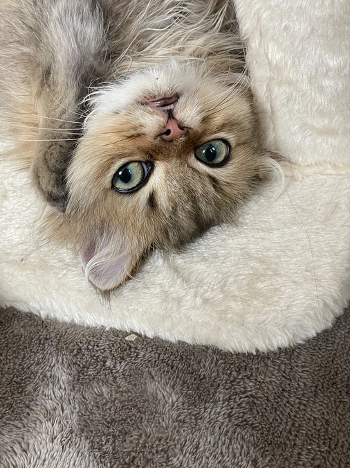 ダブル記念日！ささやかな幸せ