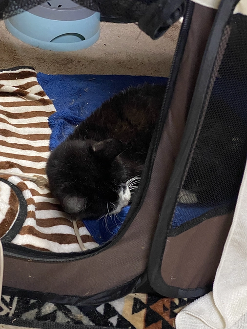 9/27 アビの現況報告