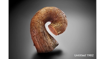 ふじい忠一記念館の運営資金支援者を募集しています！ のトップ画像