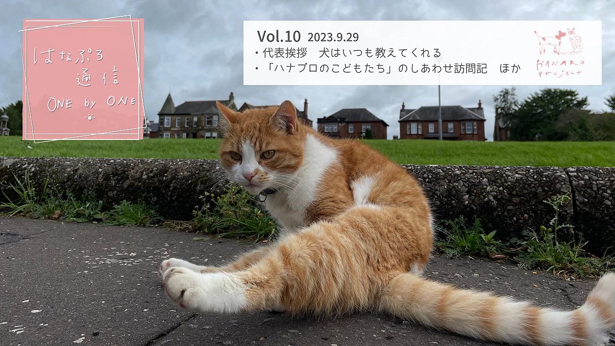 「はなぷろ通信 one by one」Vol.10