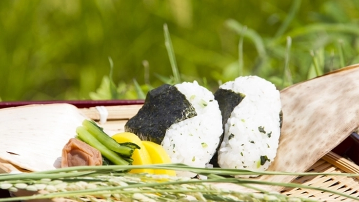 【伝統×創造】日本食文化を世界に発信するサイトを構築したい！