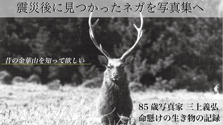 津波に流されたはずのネガが見つかった。かつての金華山の鹿がすごい!
