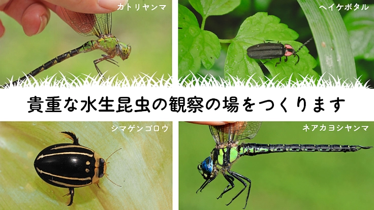 癒しと交流・生き物の生息する水辺回復～「つながりの谷」プロジェクト 2枚目