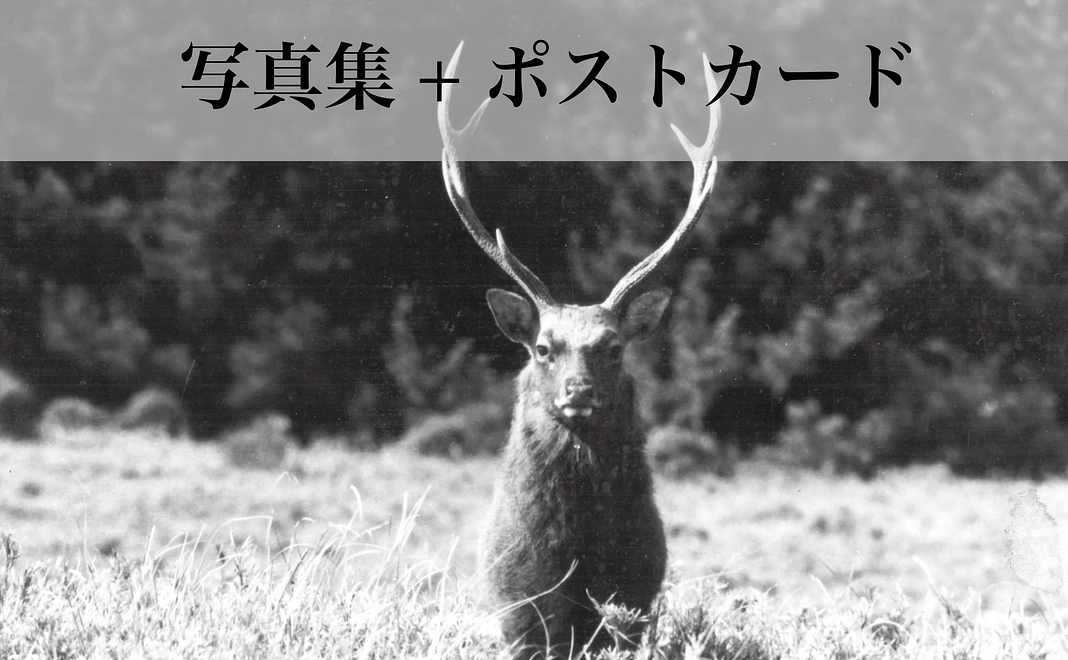 写真集+ポストカード