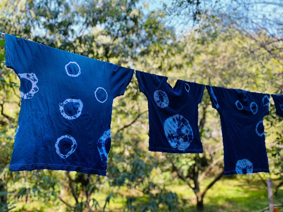 【森のお便り10月号②】藍染め体験へご招待