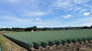 地域の高齢畑作農家の重作業を減らしてあげたい！ のトップ画像