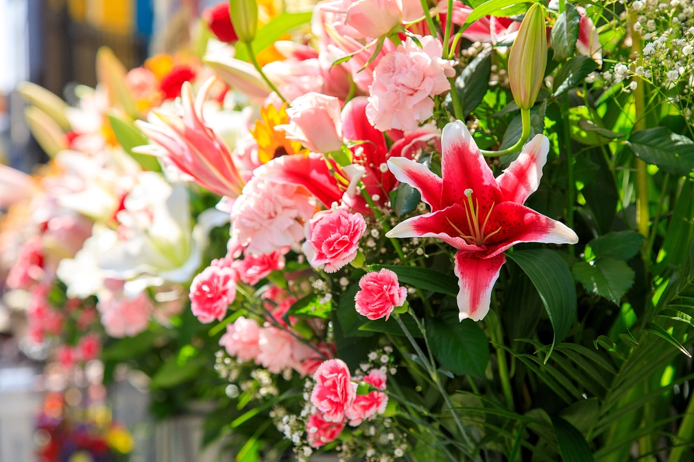 リターン紹介：内覧会