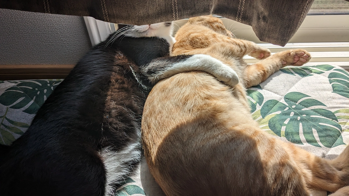 本当に仲良し🥰