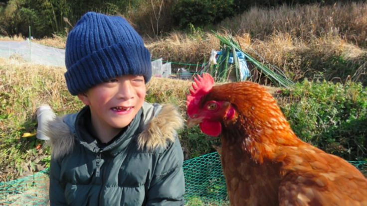 名古屋発！障がいを持つ方が安定して働ける、養鶏場を拡張したい