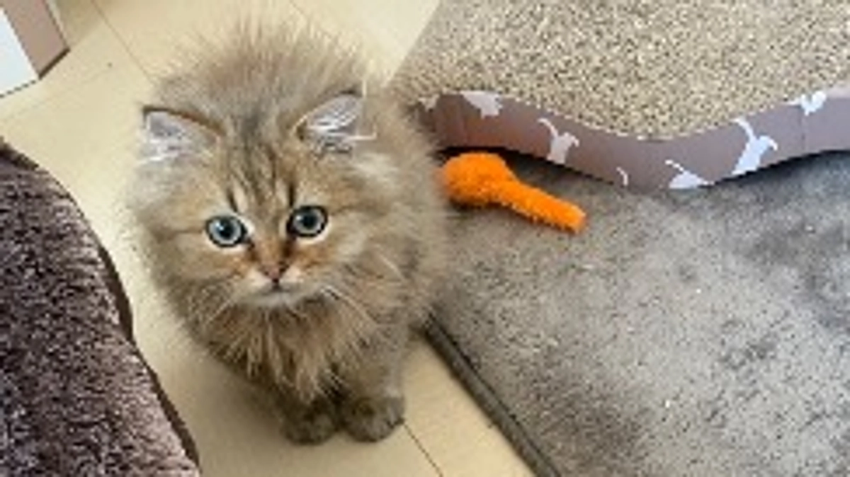 些細なことで体重が減る！