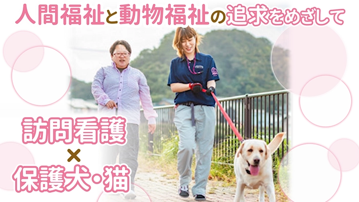 保護犬・保護猫とふれあえる訪問看護事業により地域の笑顔をつくります