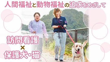 保護犬・保護猫とふれあえる訪問看護事業により地域の笑顔をつくります のトップ画像