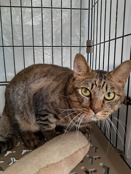 凪(なぎ)君のこれからの医療予定