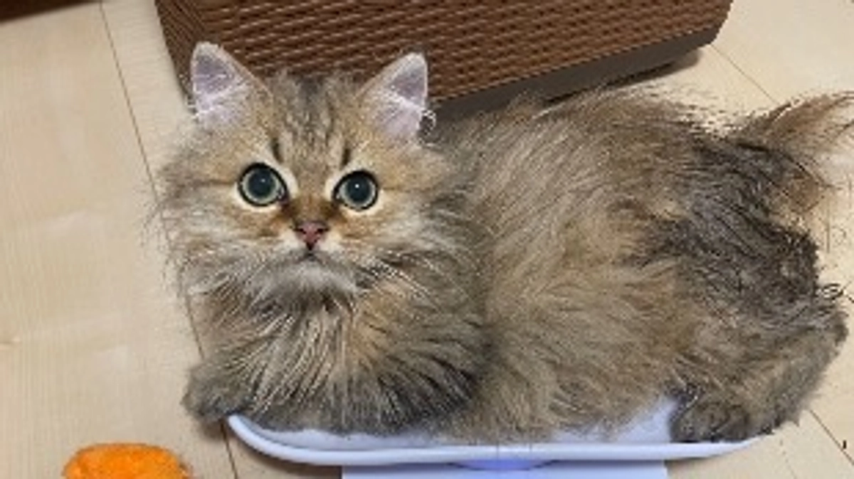 検査結果届きました！