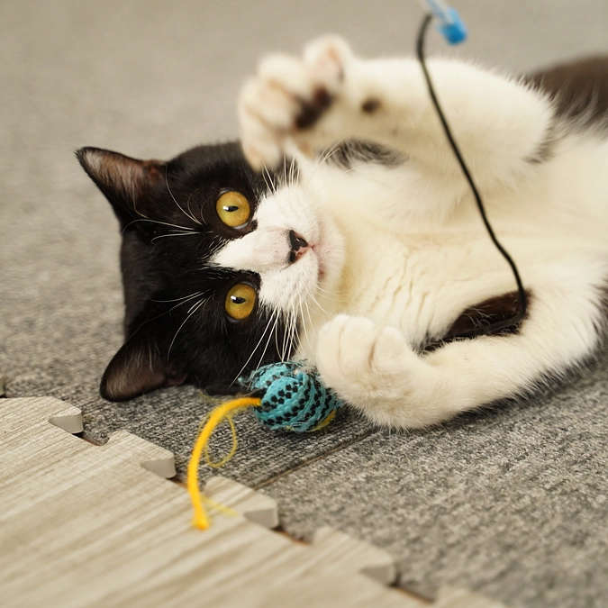 リターンについて