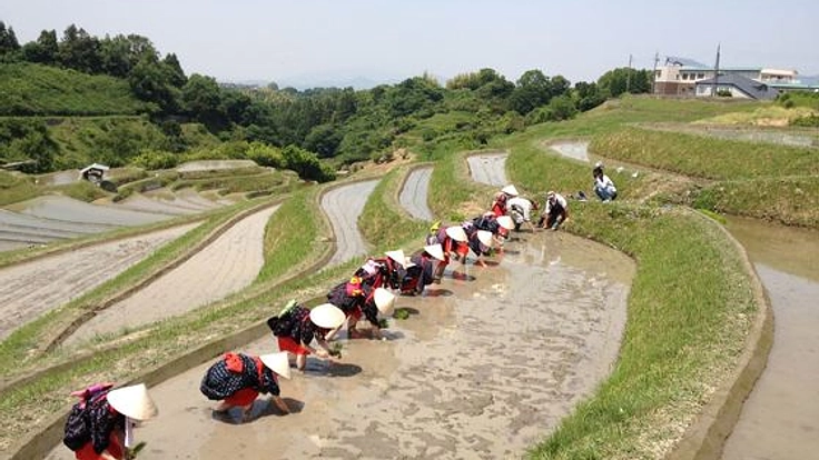 早乙女田植えを次世代に伝えるため、オリジナルの田植え歌を作る