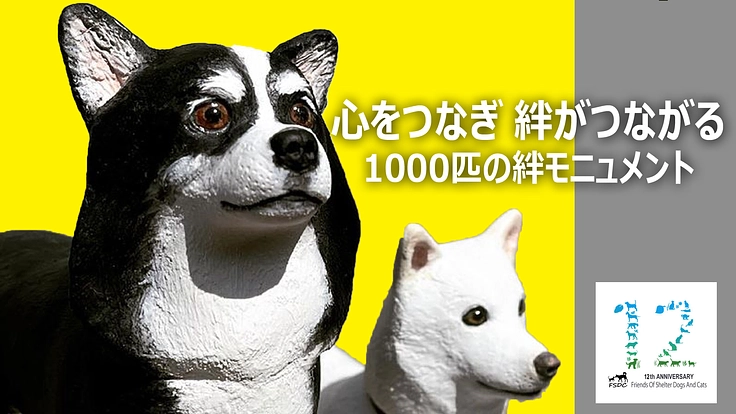 殺処分にあう保健所の犬猫たちを助けたい！1000匹の絆プロジェクト 2枚目