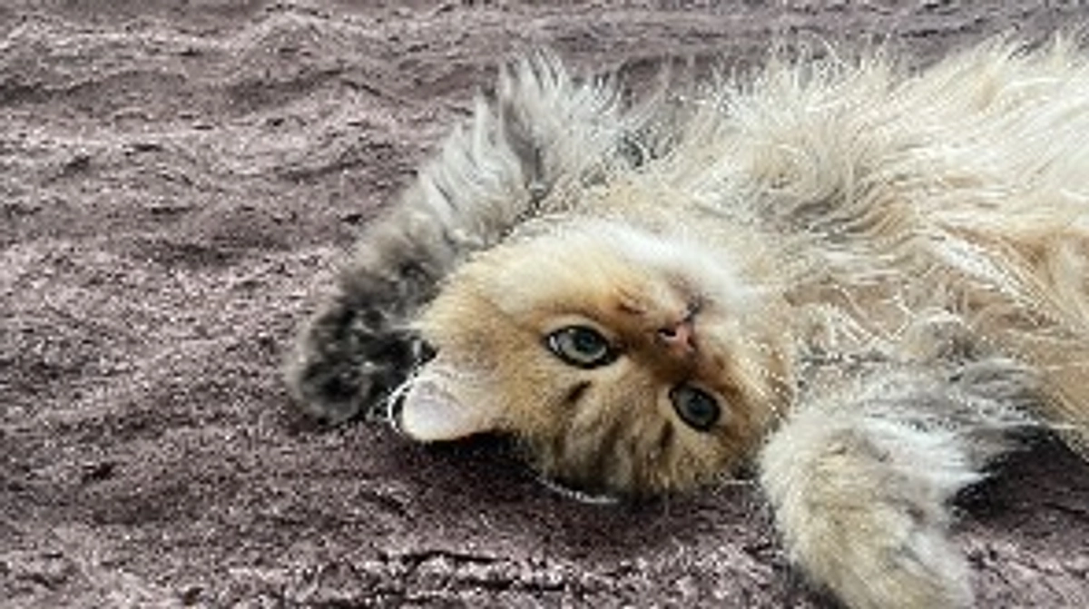 投薬も残り30日（予定）