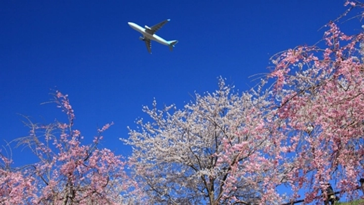 「まごころ」を学びに世界へ！元CAが世界一周のたびへ出ます！