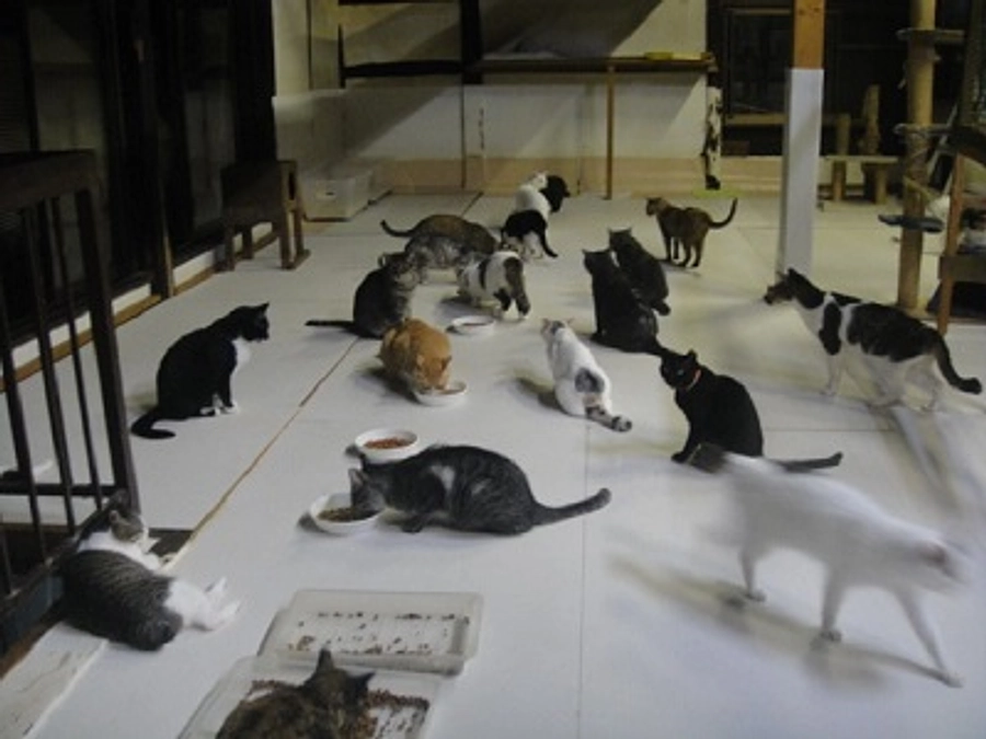 継続クラウドファンディング９月分の成果