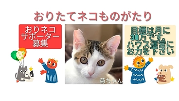 おりネコサポーター｜ハウスの維持と保護猫の医療にご支援を！ のトップ画像