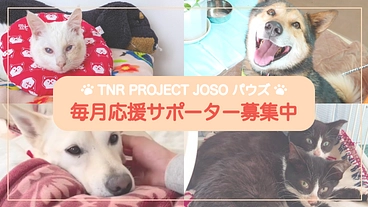 毎月応援サポーター☆ 幸せを繋ぐまで継続的なご支援をお願いします。 のトップ画像