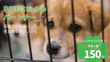 PDTはぐくみパートナー150名大募集！殺処分ゼロに向けて のトップ画像