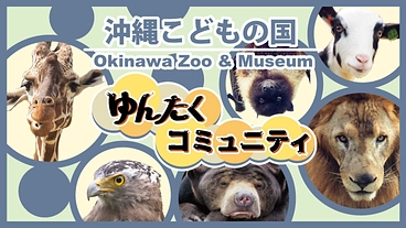 沖縄こどもの国｜ゆんたくコミュニティでずっと応援！ のトップ画像