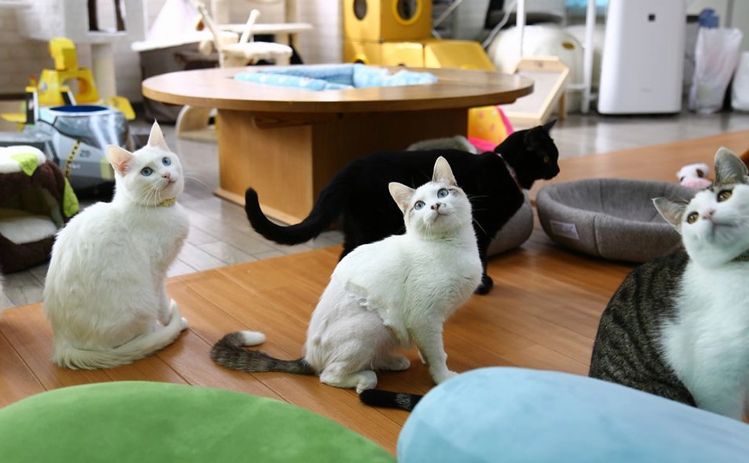 【全額ご支援】3.000円コース