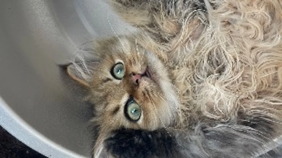 通院して検査してきました！