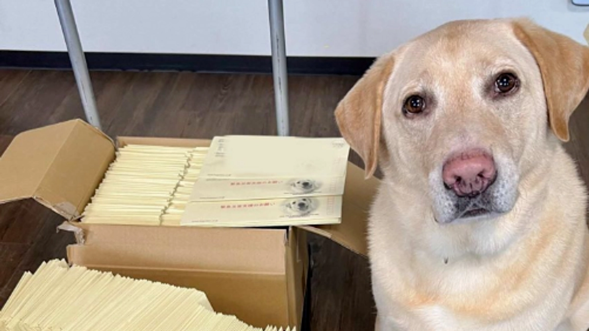 「老犬ホーム」再建のための第一歩をスタートしました！